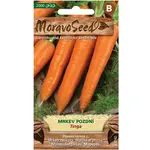 Mrkva neskorá Tinga