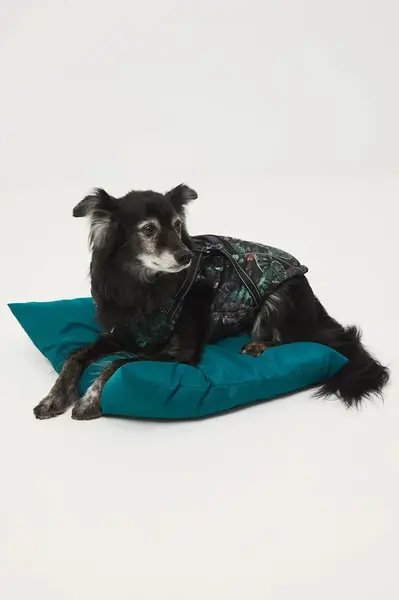 Bunda pre zvieratko Medicine