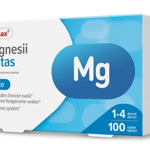 Dr. Max Magnesii Lactas 100 tablet