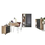 MID.YOU KANCELÁŘ, Sonoma dub, vysoce lesklá antracitová