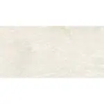 Obklad Rako Dale swan 30x60 cm reliéfna WARVK878.1