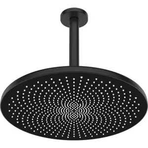 Hansa Aurelia hlavová sprcha na strop vrátane sprchového ramena čierna matná 4727030033