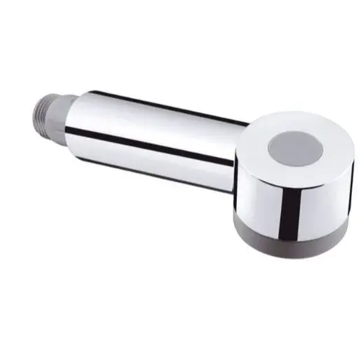Hansgrohe Talis S sprchová hlavica 97999000