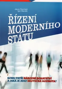 Řízení moderního státu - Igor Mandík, Šteinfeld Jakub