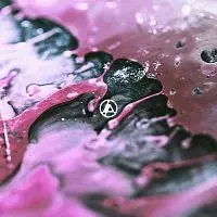 Linkin Park – From Zero LP