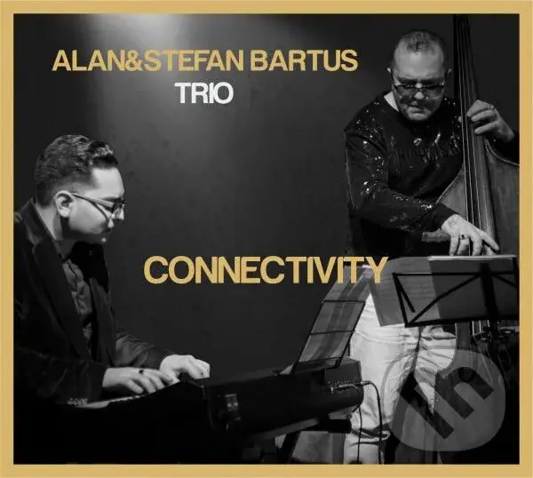 Alan & Stefan Bartus Trio: Connectivity