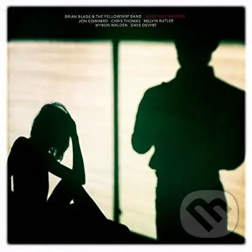 Brian Blade Fellowship: Body And Shadow LP