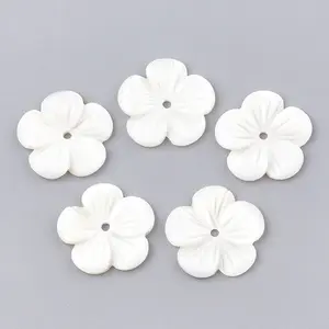 Freshwater Shell Beads