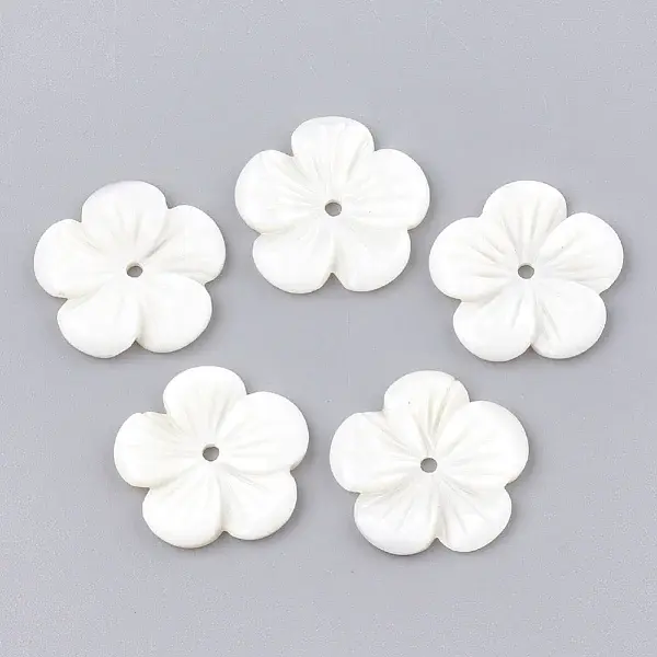 Freshwater Shell Beads