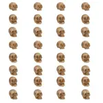 Halloween Theme Resin Skull Display Decoration