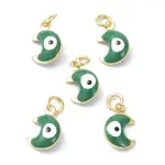 Brass Enamel Charms