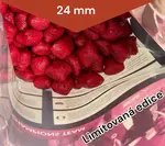 Lk baits boilies euro economic spice shrimp polštářky 1 kg 24 mm