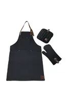 Súprava - zástera, rukavica a handrička Dorre