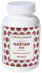 NATURVITA Gaštan plus 60 kapsúl