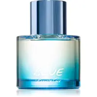 Kenneth Cole Blue toaletná voda pre mužov 100 ml