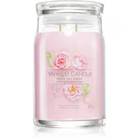 Yankee Candle Fresh Cut Roses vonná sviečka Signature 567 g