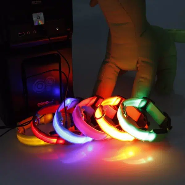 Reedog USB svíticí obojek pro psy a kočky NEW - Modrá - 40 - 48 cm