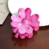 Resin Claw Hair Clips