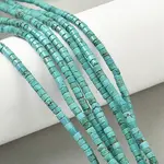 Dyed Natural Magnesite Beads Strands