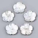 Natural White Shell Mother of Pearl Shell Beads