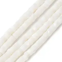 Natural Freshwater Shell Beads Strands