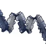 20 Yards Polyester Pleated Elastic Lace Trim