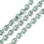 Spray Painted 304 Stainless Steel Cable Chains