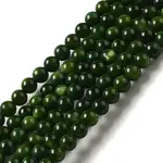 Natural Freshwater Shell Beads Strands