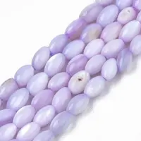 Natural Freshwater Shell Beads Strands