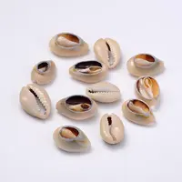 Natural Cowrie Shell Beads
