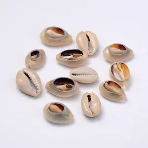 Natural Cowrie Shell Beads