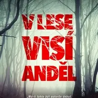 V lese visí anděl (Defekt) - Samuel Bjørk