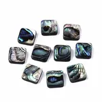 Natural Abalone Shell/Paua Shell Beads
