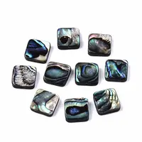 Natural Abalone Shell/Paua Shell Beads