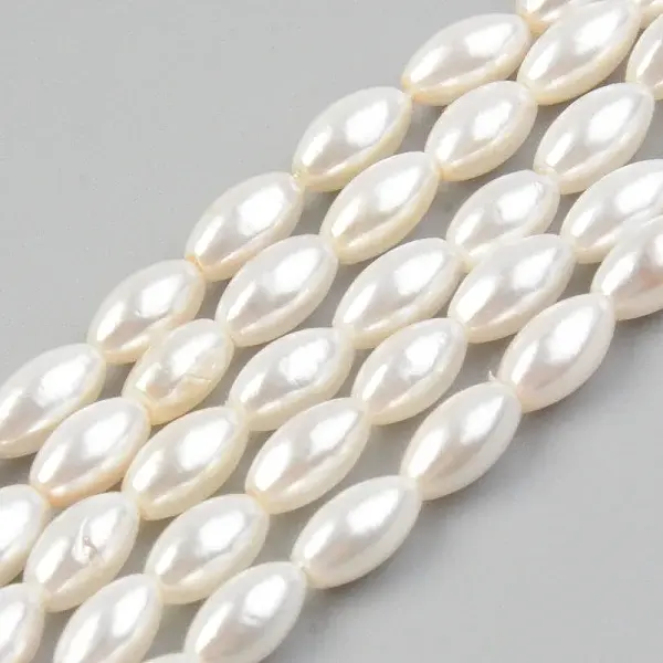 Natural Freshwater Shell Beads Strands