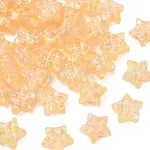 Translucent  Resin Beads