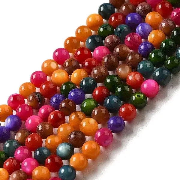 Natural Freshwater Shell Beads Strands