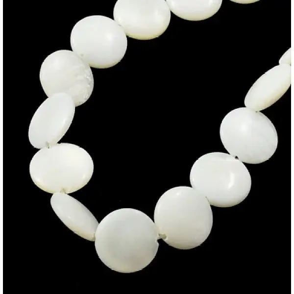 Natural Shell Beads Strands