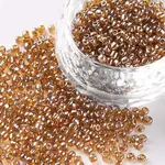 12/0 Glass Seed Beads
