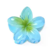 Plastic Claw Hair Clips