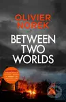 Between Two Worlds (THE TIMES Best Crime Novel of the Year 2024) - kniha z kategorie Detektivky, thrillery a horory