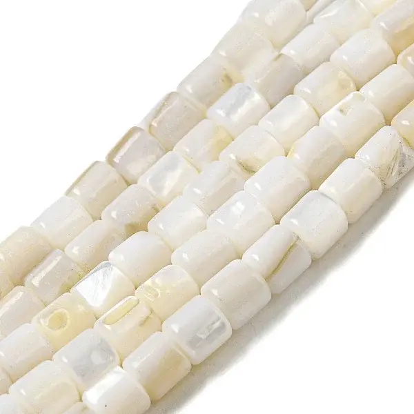 Natural Freshwater Shell Beads Strands
