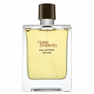 Hermes Terre D'Hermes Eau Intense Vetiver parfémovaná voda pro muže 100 ml