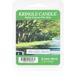 Kringle Candle Spanish Moss vosk do aromalampy 64 g