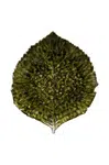 Sada talířů Costa Nova Riviera Hydrangea 22 cm 6-pack