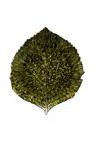 Sada talířů Costa Nova Riviera Hydrangea 22 cm 6-pack