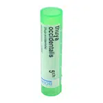 BOIRON Thuya Occidentalis CH5 4 g