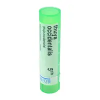 BOIRON Thuya Occidentalis CH5 4 g