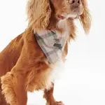 Šátek pro domácí mazlíčky Barbour Tartan Dog