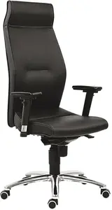 ANTARES kancelářská židle 1800 LEI, zdravější sezení